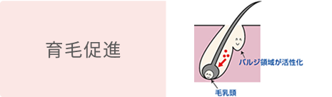 育毛促進